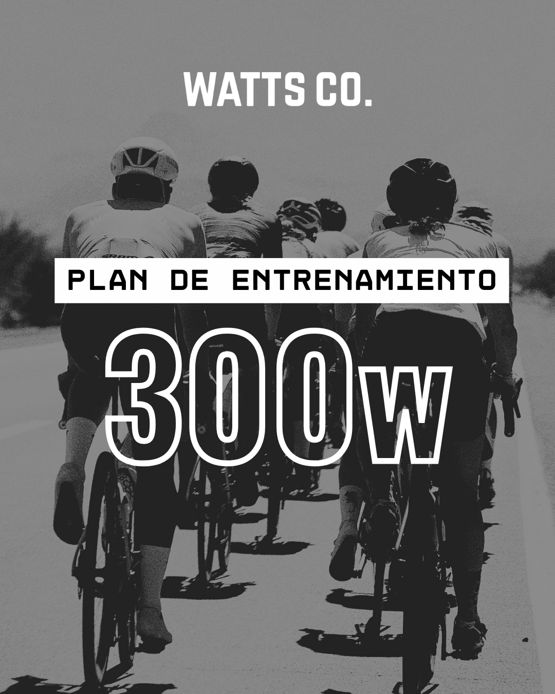 Plan 300W